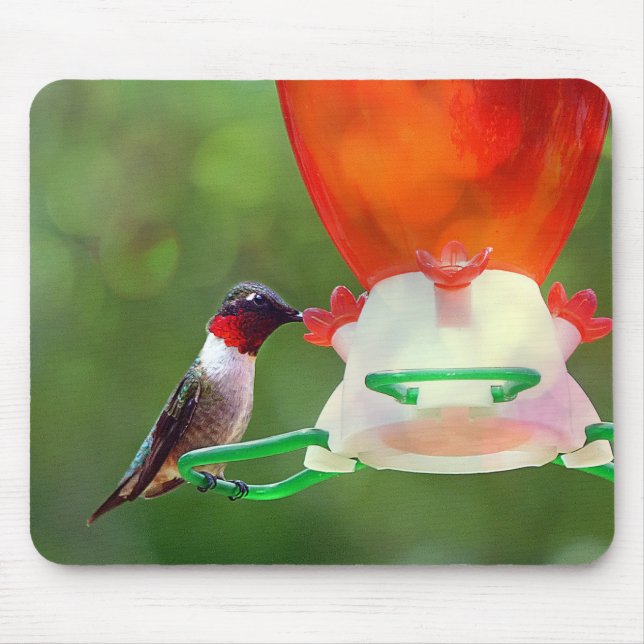 Tapis De Souris Un colibri à gorge rubis (Devant)
