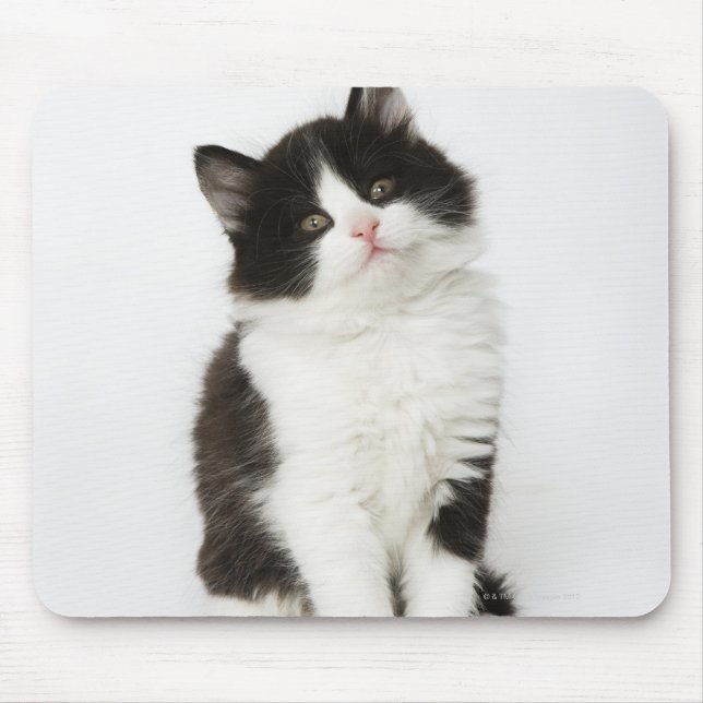 Tapis De Souris Un jeune chaton assis regardant la caméra (Devant)
