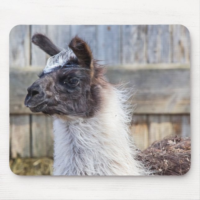 Tapis De Souris Un lama heureux (Devant)
