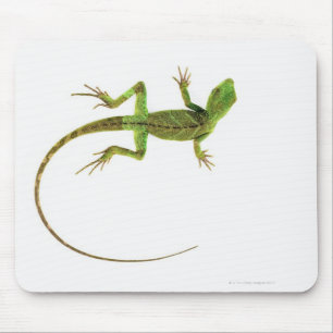 Tapis De Souris Un lézard sur la terre blanche pure