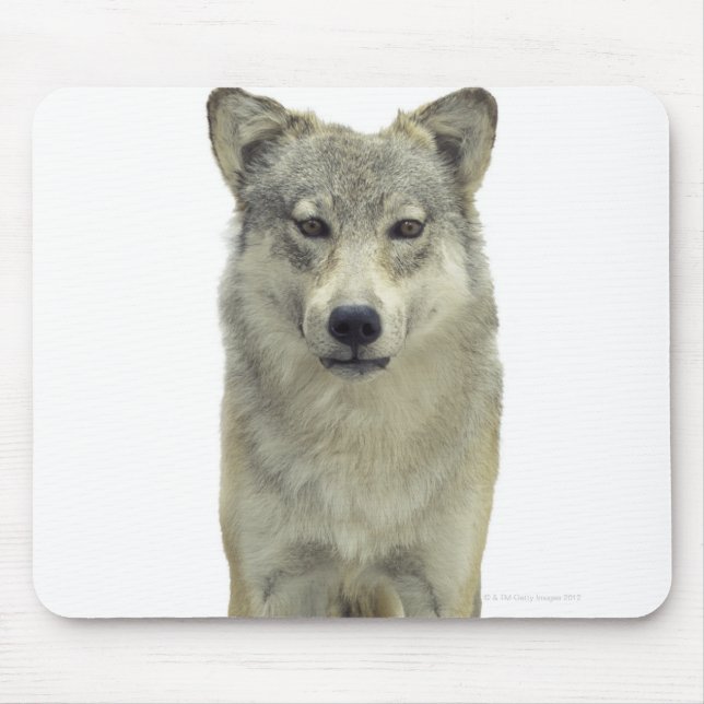 Tapis De Souris Un loup (Devant)