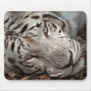 Tapis De Souris Un oeil attentif
