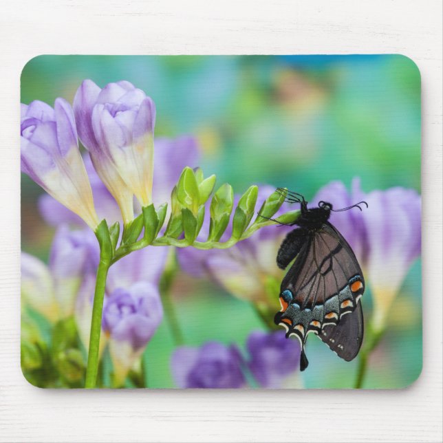 Tapis De Souris Un papillon monarque | Danaus Plexippus (Devant)