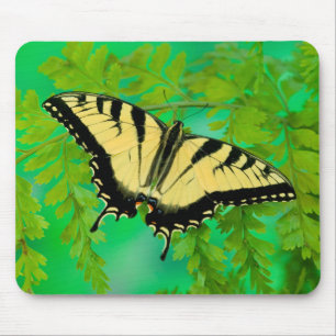 Tapis De Souris Un papillon swallowtail atterrissant