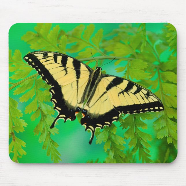 Tapis De Souris Un papillon swallowtail atterrissant (Devant)