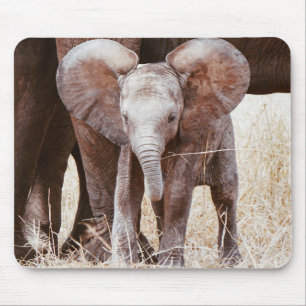 Tapis De Souris Un petit éléphant mignon africain avec maman
