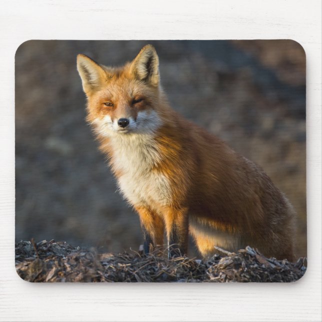 Tapis De Souris Un Petit Fox mignon (Devant)