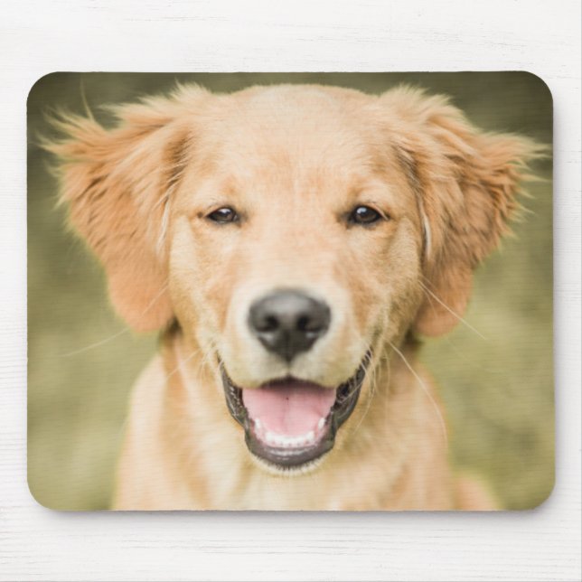 Tapis De Souris Un portrait d'un chiot de golden retriever (Devant)