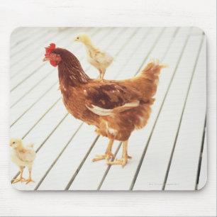 Tapis De Souris Un poulet et deux poussins sur un plancher en