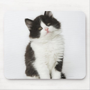 Tapis De Souris Un regard se reposant de jeune chaton dans