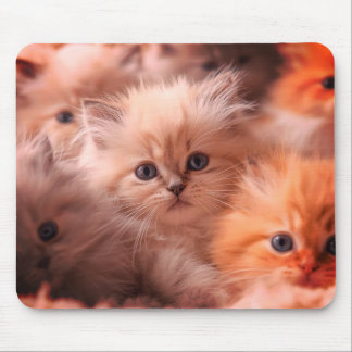 Tapis De Souris Un tas de chatons mignons sur une tablette de bure