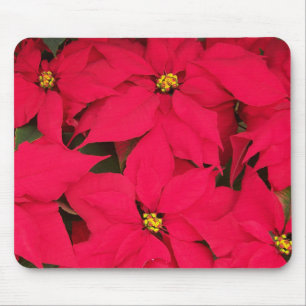 Tapis De Souris Un tas de Poinsettias de Noël aux couleurs vives
