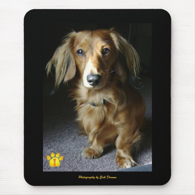 Tapis De Souris Un teckel distingué Mousepad (Devant)