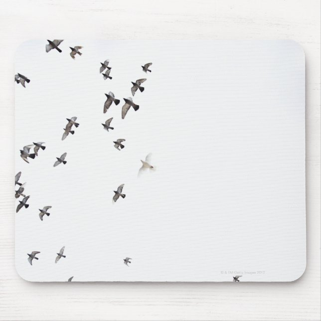 Tapis De Souris Un troupeau d'oiseaux vole vers le ciel (Devant)