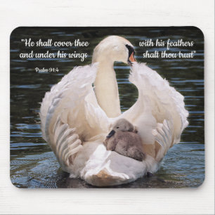 Tapis De Souris Under His Wings swan carrying cygnet Poster