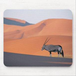 Tapis De Souris Une antilope oryx solitaire.