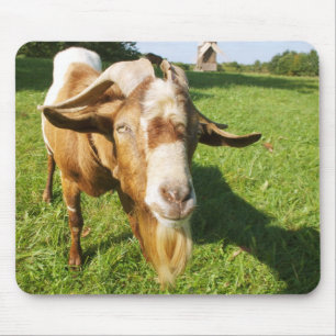 Tapis De Souris Une chèvre - mousepad