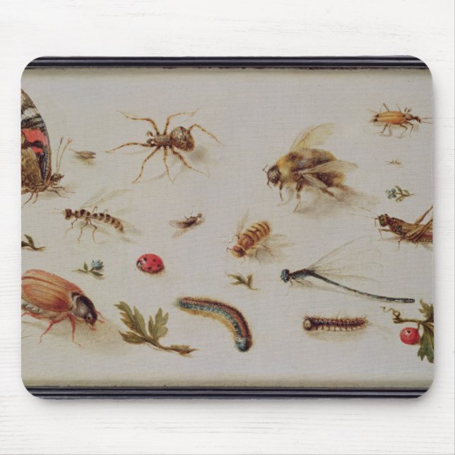 Tapis De Souris Une étude des insectes (Devant)