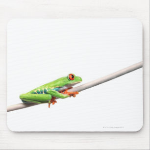 Tapis De Souris Une grenouille suspendue