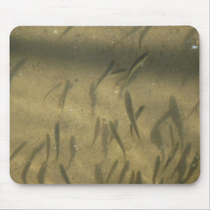 Tapis De Souris une histoire louche