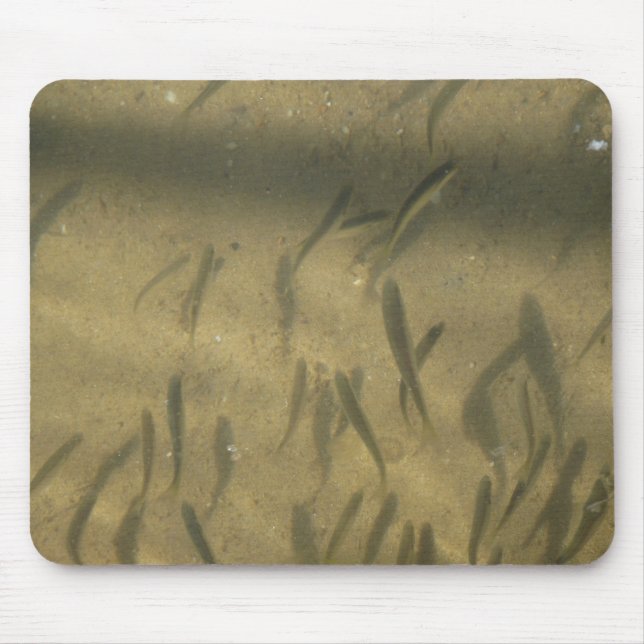 Tapis De Souris une histoire louche (Devant)