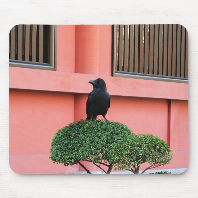 Tapis De Souris Une Jungle À Gros Billages Croque Une Perche Sur U (Devant)