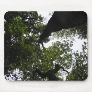 Tapis De Souris Une nouvelle perspective - Arbres