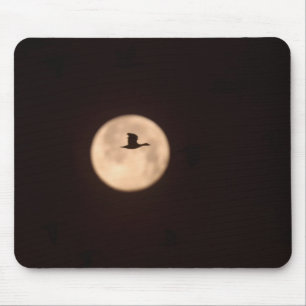 Tapis De Souris Une oie des neiges contre une pleine lune   Nouvea