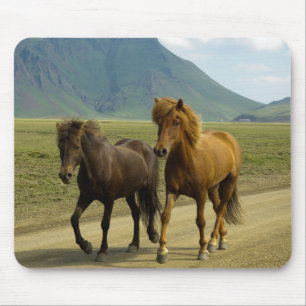 Tapis De Souris Une paire de poneys islandais Brown