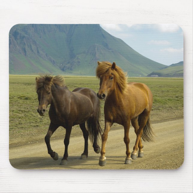 Tapis De Souris Une paire de poneys islandais Brown (Devant)