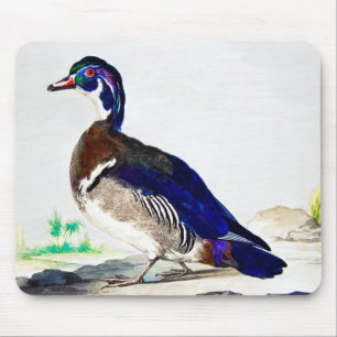 Tapis De Souris Une peinture d'un canard par Aert Schouman