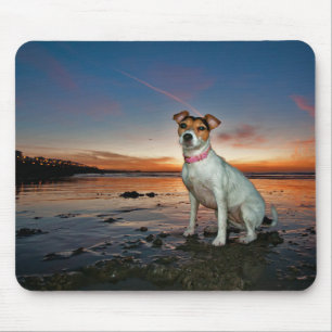 Tapis De Souris Une plage se reposante de la plage   Brighton de