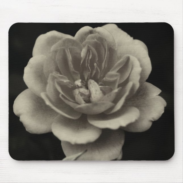 Tapis De Souris Une rose pour la bien-aimée.... (Devant)