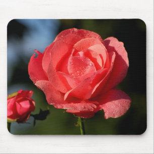 Tapis De Souris Une rose pour la bien-aimée....