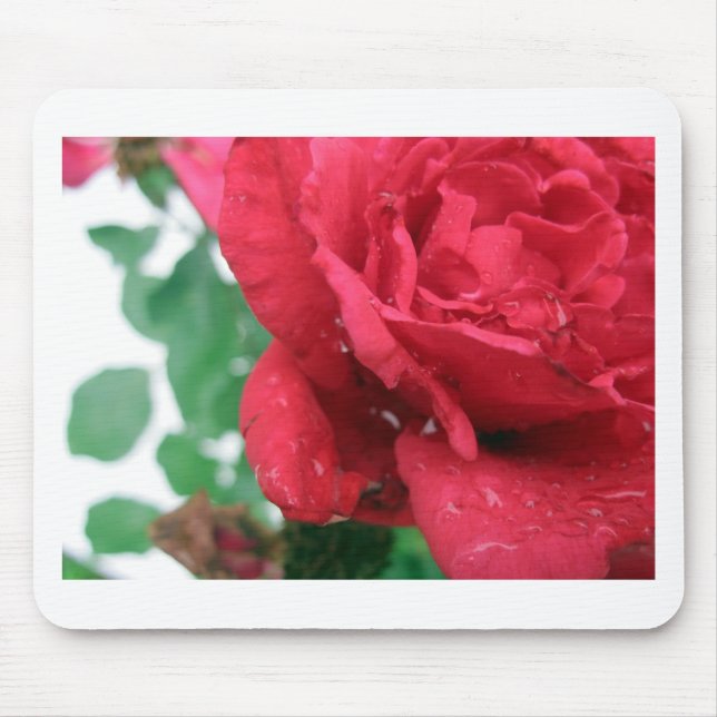 Tapis De Souris Une rose rouge (Devant)