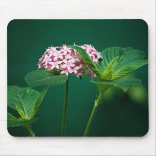 Tapis De Souris Une touche de rose dans la Mousepad verte