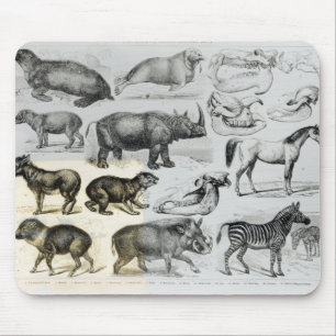 Tapis De Souris Ungulata ou animaux à sabots