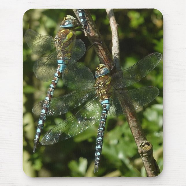 Tapis De Souris Unité ! (Devant)