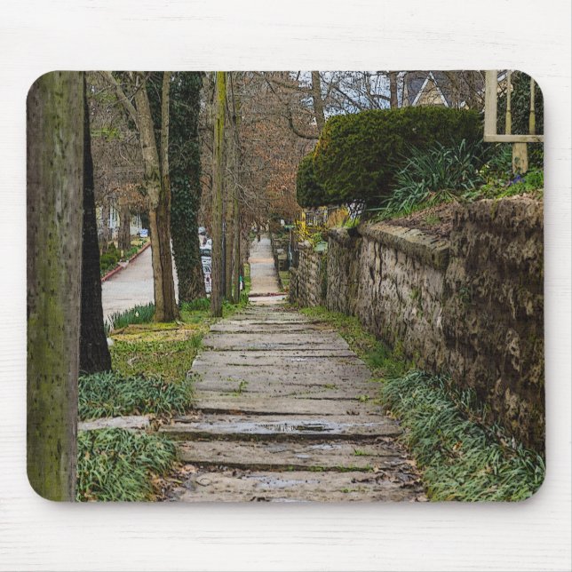 Tapis De Souris Unlevel Pathway (Devant)