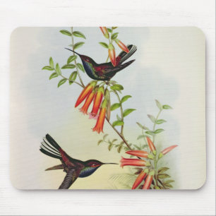 Tapis De Souris Urochroa Bougieri