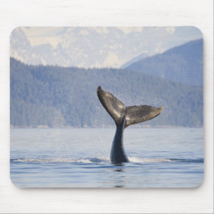 Tapis De Souris USA, Alaska, détroit d'Icy. Baleine à bosse