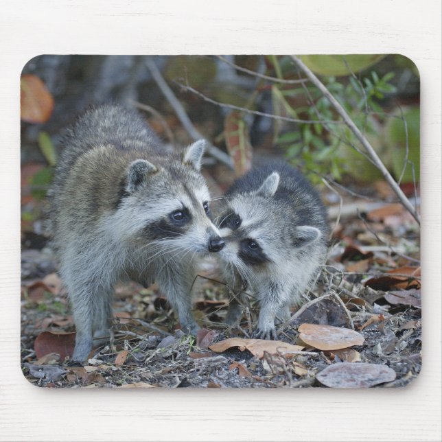 Tapis De Souris USA, Floride, Sanibel, Ding Darling National (Devant)