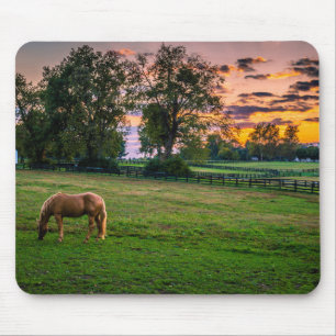 Tapis De Souris USA, Lexington, Kentucky. Cheval solitaire au couc