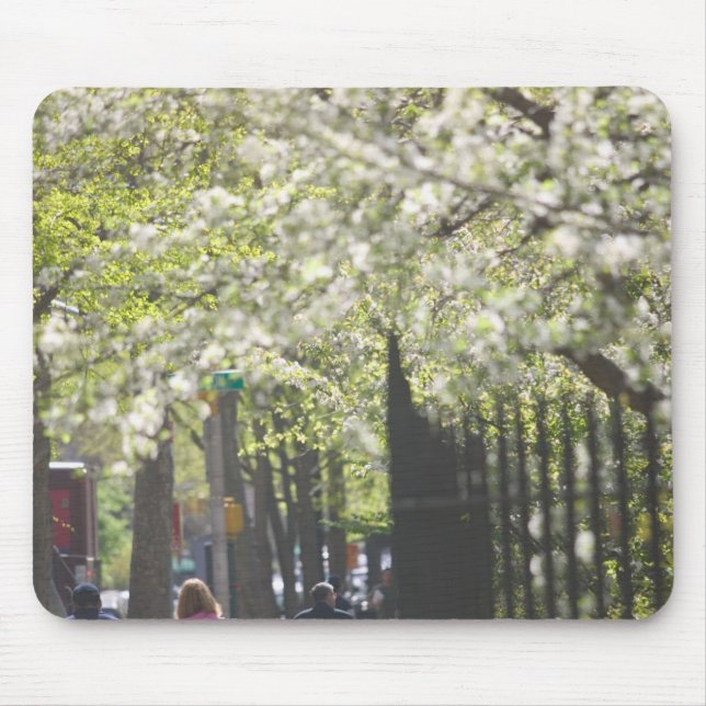 Tapis De Souris USA, New York, New York, Manhattan :8 (Devant)