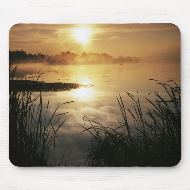 Tapis De Souris USA, Washington, île Lopez, brouillard matinal sur (Devant)