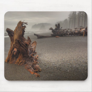 Tapis De Souris USA, Washington, Olympic National Park, Rialto 2