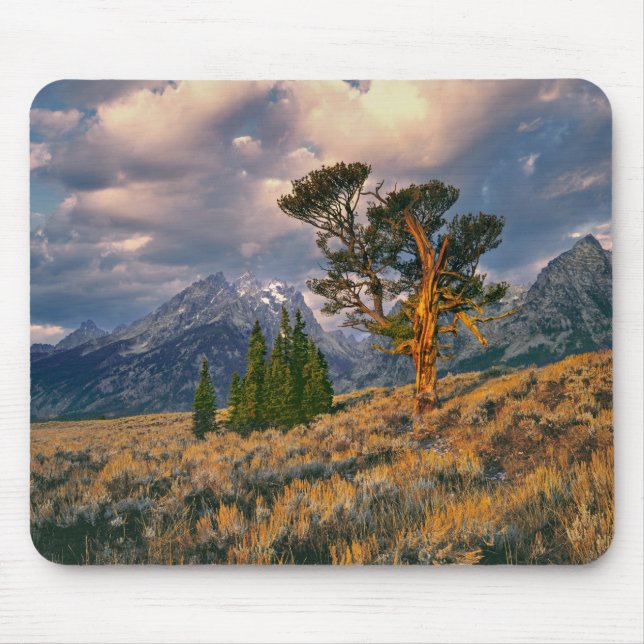 Tapis De Souris USA, Wyoming, Grand Teton NP. Sunrise accueille un (Devant)