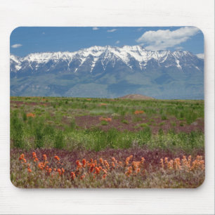 Tapis De Souris Utah, États-Unis. Le mont Timpanogos s'élève au-de