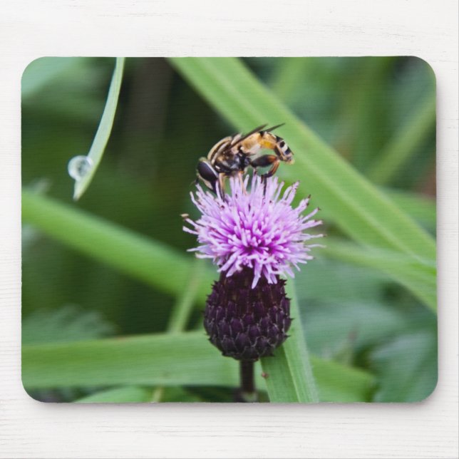 Tapis De Souris Utilisation de la bouche d'abeille (Devant)