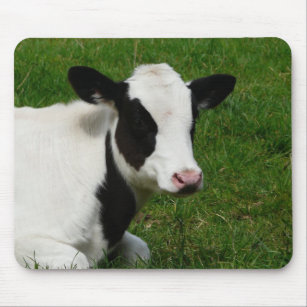 Tapis De Souris Vache Dans Le Paturage Zazzle Fr Tapis De Souris Vache Dans Le Paturage Zazzle Fr